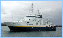 Thalassa